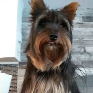 Meet your Posher, Carole